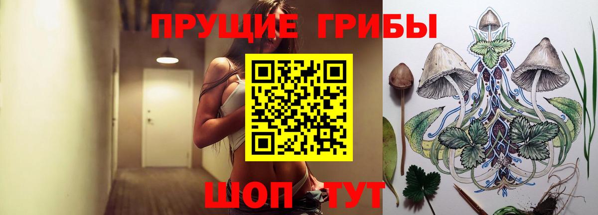 купить наркотики цена  Вход с VPN  Городец  Галлюциногенные грибы MAGIC MUSHROOMS 